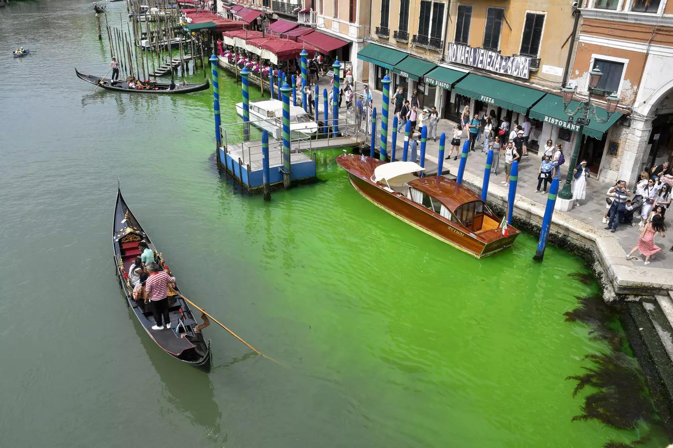 пересохшие каналы венеции