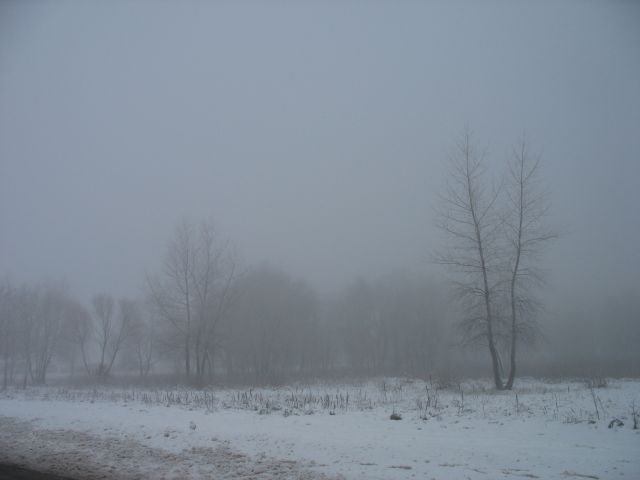 Утро 30 декабря - туман на Мухавце (фото)