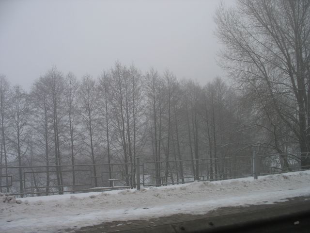 Утро 30 декабря - туман на Мухавце (фото)