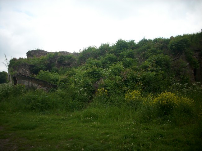 Руины Брестской крепости (фото)