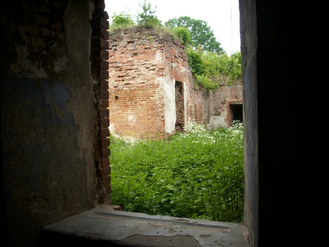 Руины Брестской крепости (фото)