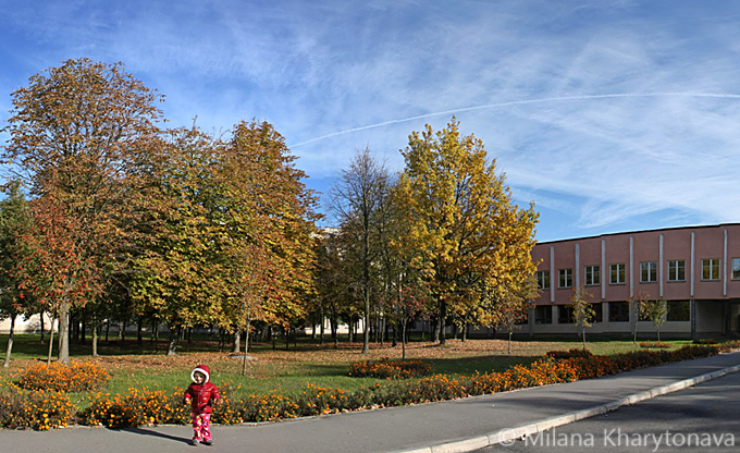 Брестский государственный технический университет - вокруг да около (фото)