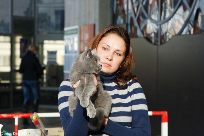 На выходных в Бресте прошла ежегодная выставка кошек