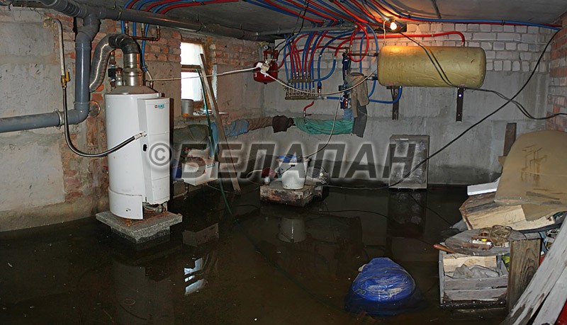 Жители деревни Черни Брестского района 16 лет "сражаются" с водой в своих подвалах и властями