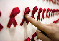 В Брестской области увеличивается число ВИЧ-инфицированных