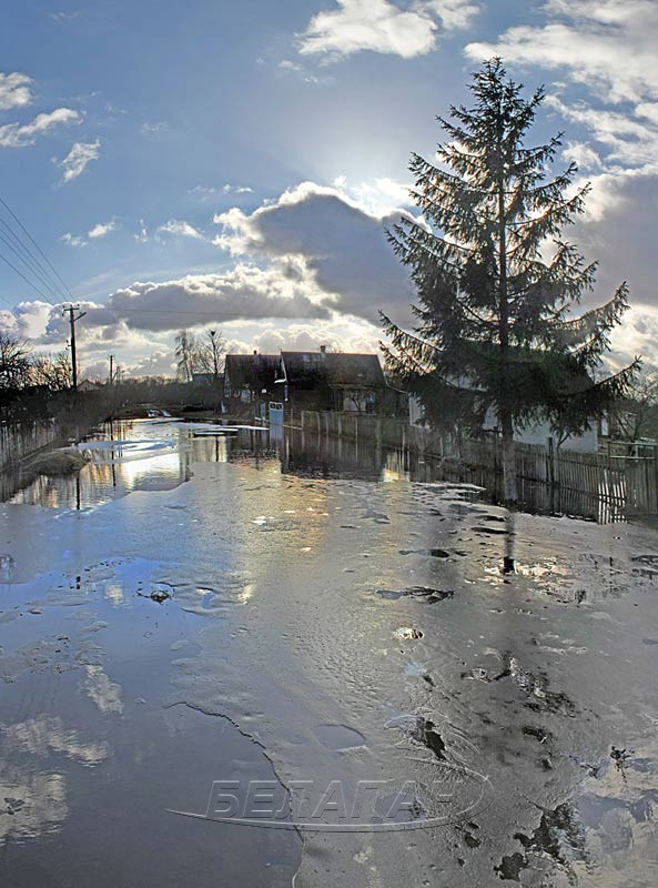 Еще до прихода весеннего паводка деревня Непли под Брестом — во власти воды