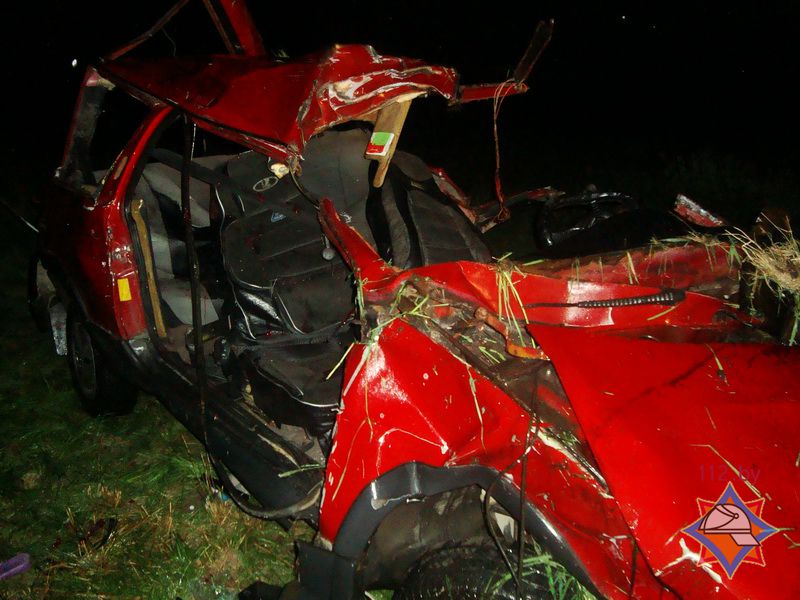 ДТП в Ивацевичском районе: легковой автомобиль сбил лося. Один человек погиб, трое спасены работниками МЧС