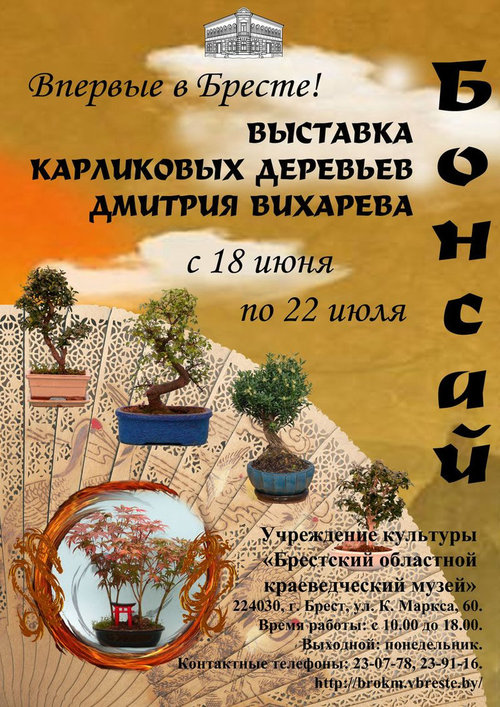 Выставка карликовых деревьев «Бонсай» проходит в УК «Брестский областной краеведческий музей»