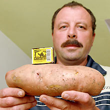 Житель деревни Скоки вырастил рекордную картофелину