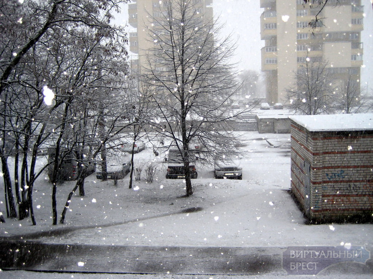 Такой разный Брест - утром город накрыл снегопад