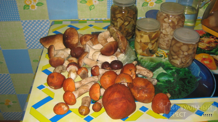 10 случаев отравления грибами зафиксировано в Брестской области