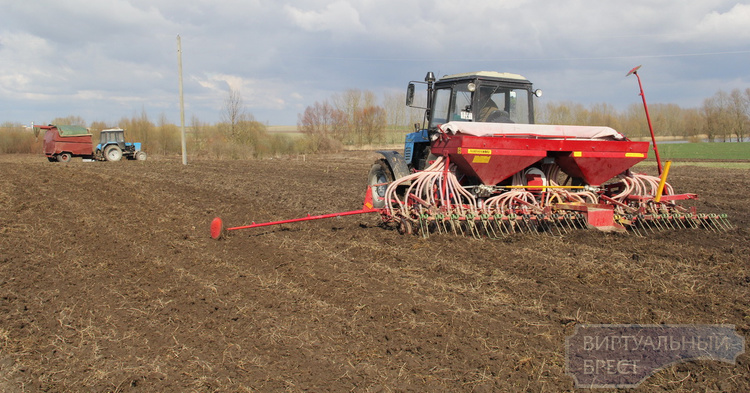 КГК выявил недостатки при подготовке к посевной в хозяйствах Брестской области