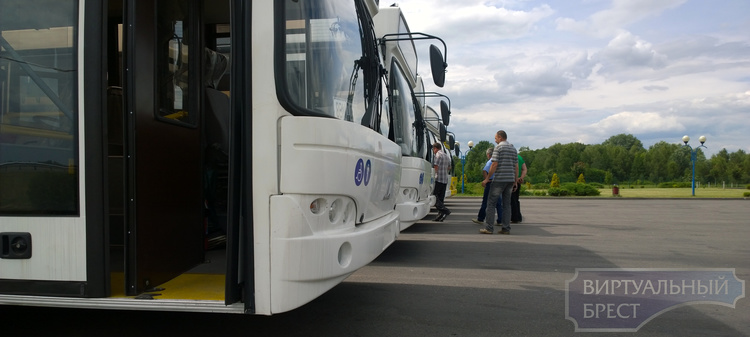 В Бресте открывается новый автобусный маршрут №43